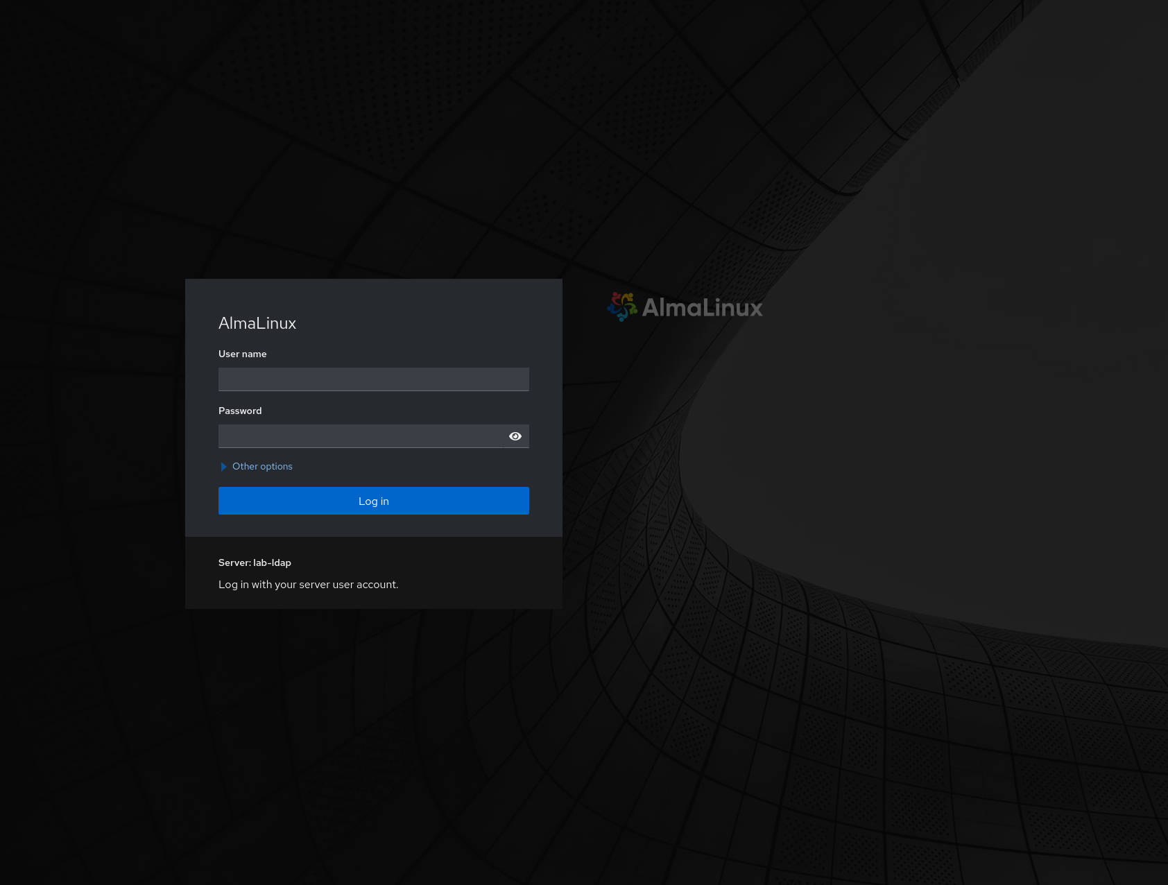 Cockpit login screen